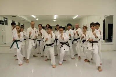 Dojo Physical Arts BJJ Academy - photo 1