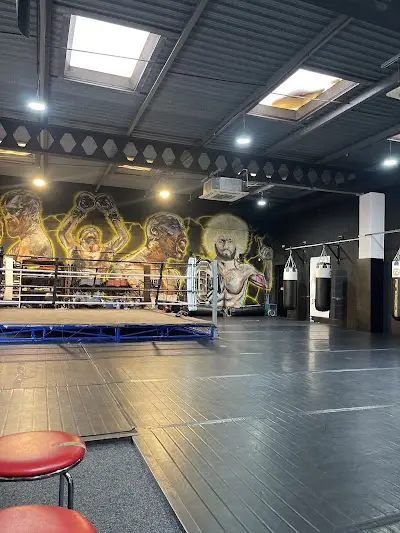 Domin8 Academy BJJ Academy - photo 1