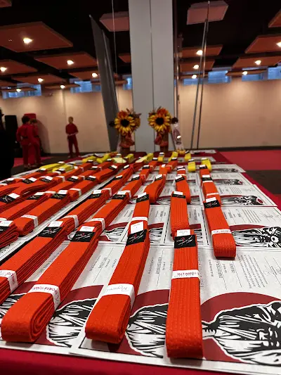 Douvris Martial Arts, Karate, Fitness, Kickboxing - Orleans BJJ Academy - photo 2