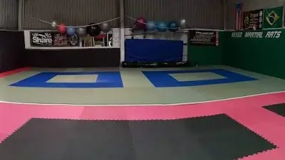 Dragon BJJ Academy