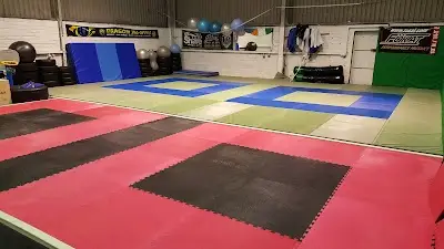 Dragon BJJ Academy BJJ Academy - photo 3