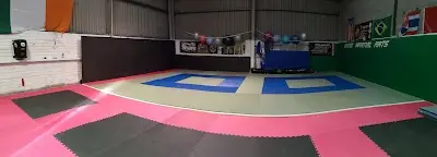 Dragon BJJ Academy BJJ Academy - photo 4