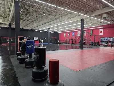 Dragon Budo Jujutsu Martial Arts Academy BJJ Academy - photo 2