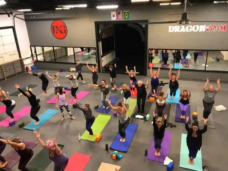 Dragon Gym Martial Arts & Fitness BJJ Academy - photo 1