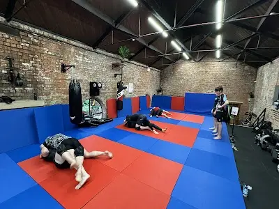 Dragons den bjj