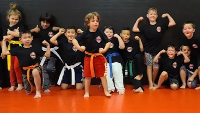 Dream Martial Arts and Fitness BJJ Academy - photo 1