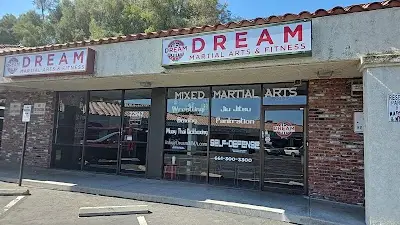 Dream Martial Arts and Fitness BJJ Academy - photo 3