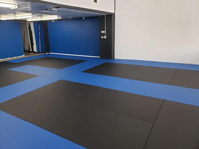 Driftless Academy: Boxing, Brazilian Jiu Jitsu, Kickboxing BJJ Academy - photo 1