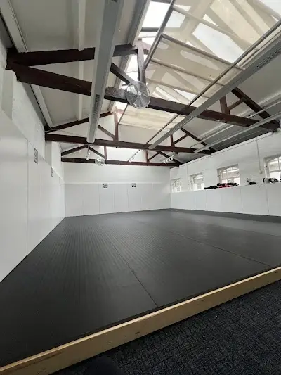 Drogo Brazilian Jiu Jitsu - Private Lessons BJJ Academy - photo 3