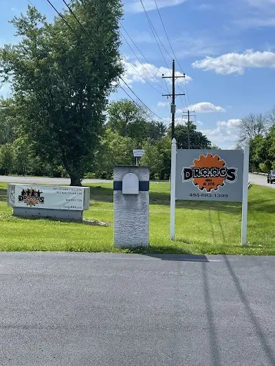 Droogs MMA & Jiu Jitsu BJJ Academy - photo 2
