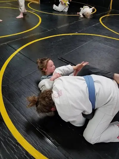 D's Jiu-jitsu Academy BJJ Academy - photo 1