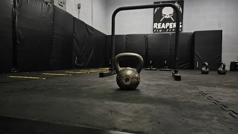 Dungeon Martial Arts / Reapers Jiu-Jitsu BJJ Academy - photo 1