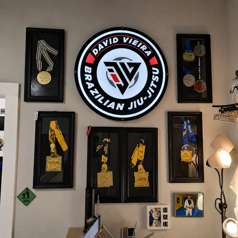 DV Brazilian Jiu-Jitsu BJJ Academy - photo 2