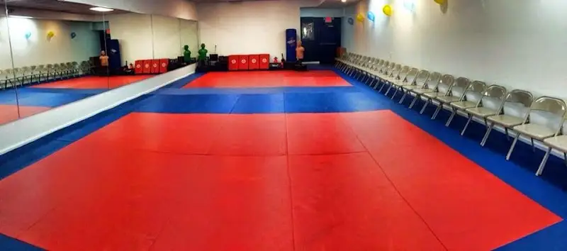 Dynamic Martial Arts Academy of Colts Neck BJJ Academy - photo 1
