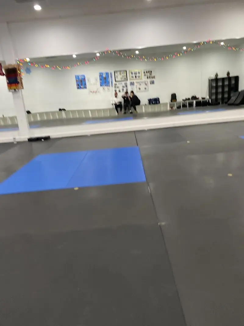 Dynamic Martial Arts Academy of Colts Neck BJJ Academy - photo 2