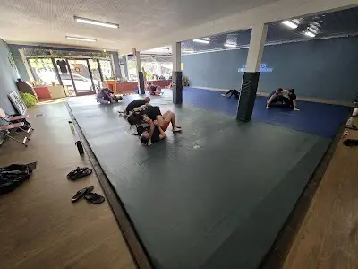 Dynamis Submission Grappling BJJ Academy - photo 3