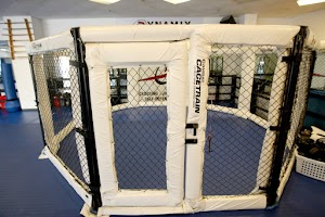 Inside Dynamix MMA academy