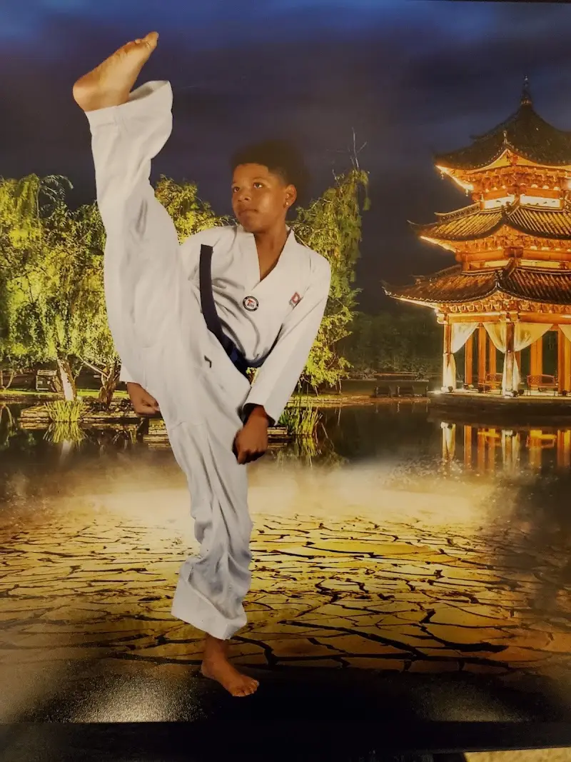 Dynasty Martial Arts BJJ Academy - photo 2