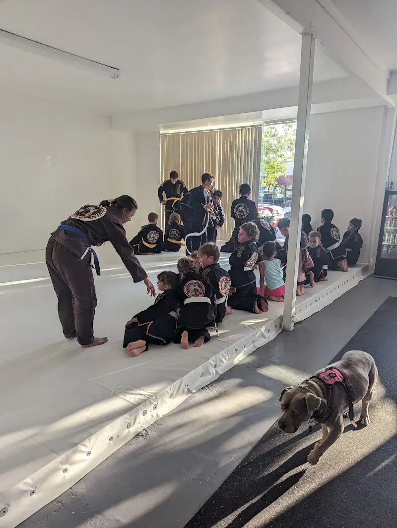 Eagle Brazilian Jiu Jitsu BJJ Academy - photo 2