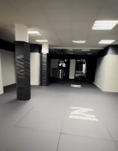 East Side BJJ & Boxen Dresden BJJ Academy - photo 1