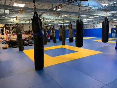 Eastern Academy of Mixed Martial Arts