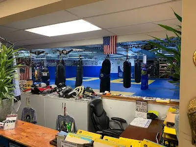 Eastern Academy of Mixed Martial Arts BJJ Academy - photo 3