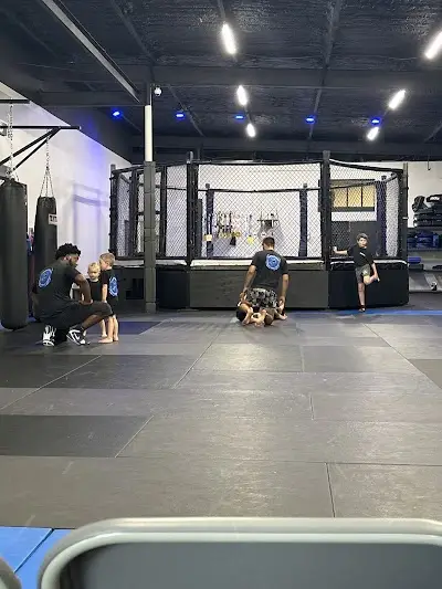 Effingham Combat Academy BJJ Academy - photo 1