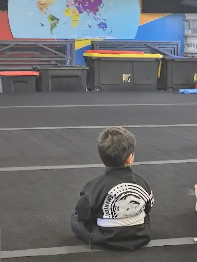 Effingham Martial Arts BJJ Academy - photo 3