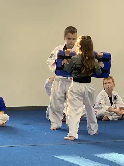 Effingham Martial Arts BJJ Academy - photo 4