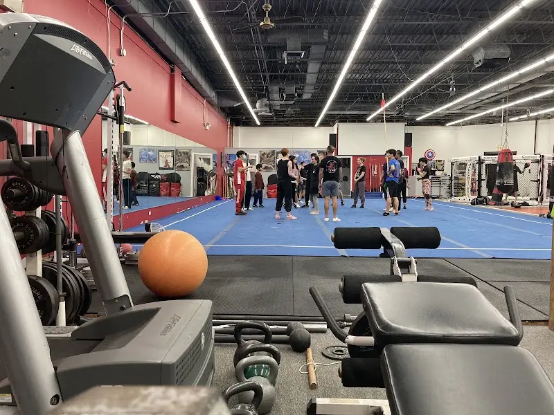 EKF Martial Arts