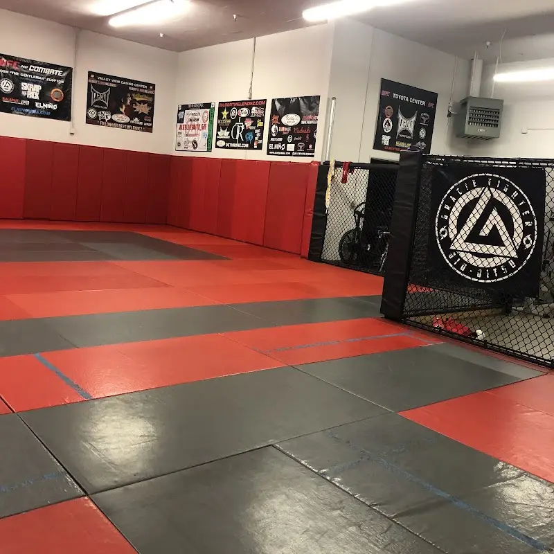 El Niño Training Center BJJ Academy - photo 1