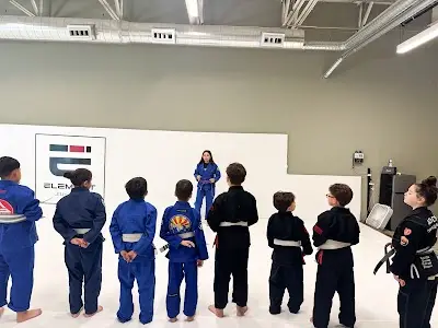 Element Jiu Jitsu BJJ Academy - photo 1