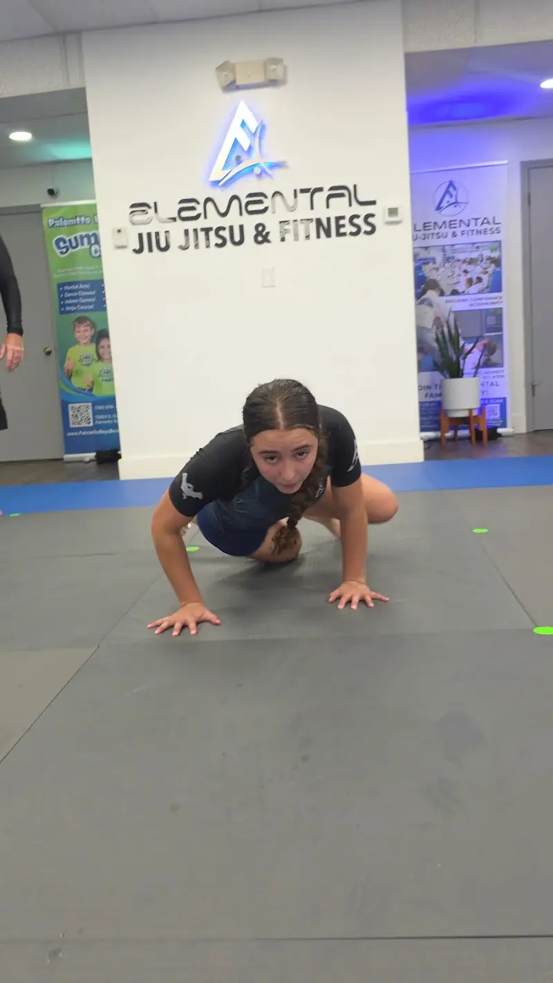 Elemental Jiu Jitsu and Fitness (EBJJFits) of Palmetto Bay BJJ Academy - photo 2