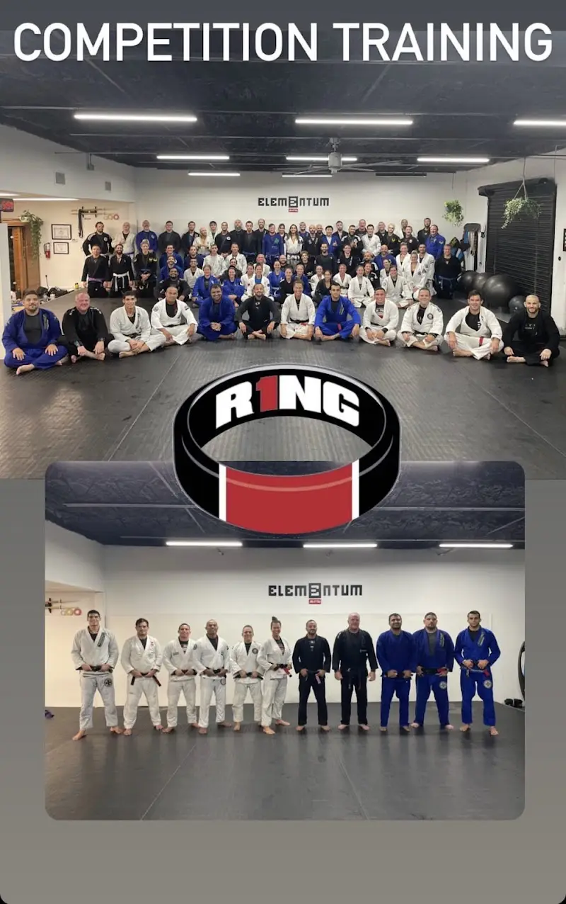 Elementum Jiu-jitsu - Winter Park BJJ Academy - photo 1