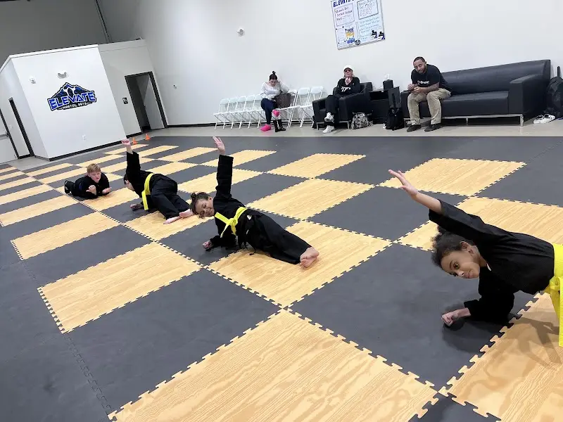 Elevate Martial Arts Deptford BJJ Academy - photo 1