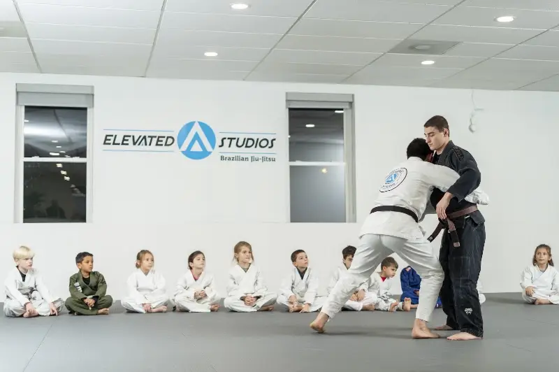 Elevated Studios Martial Arts BJJ Academy - photo 1
