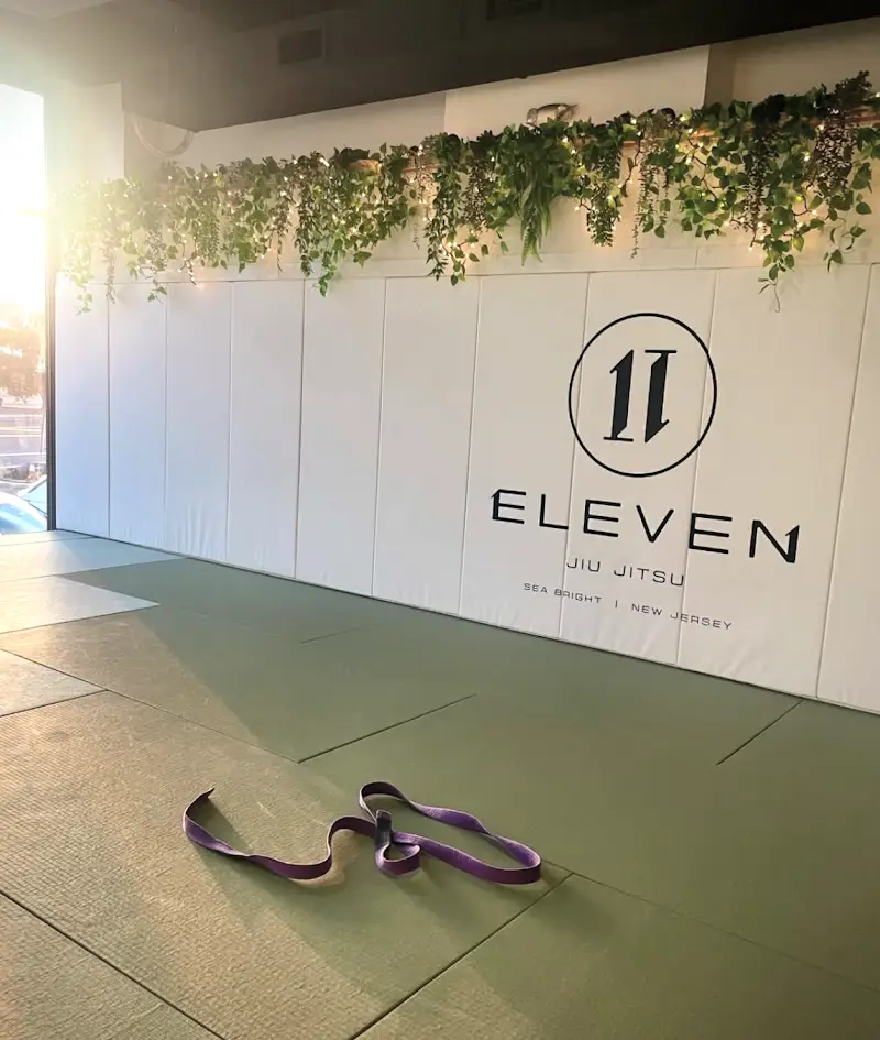 Eleven Jiu Jitsu + Recovery BJJ Academy - photo 1