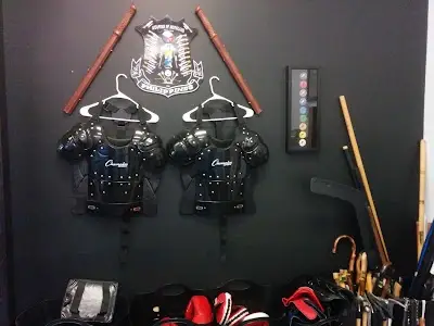 Elite Academy of Martial Arts, est. 2012 BJJ Academy - photo 3