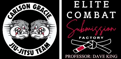 Elite Combat Submission Factory BJJ Academy - photo 2