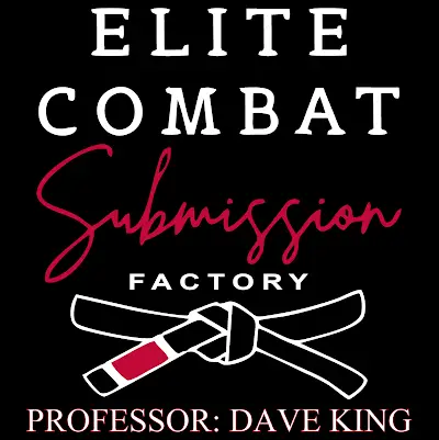 Elite Combat Submission Factory BJJ Academy - photo 3