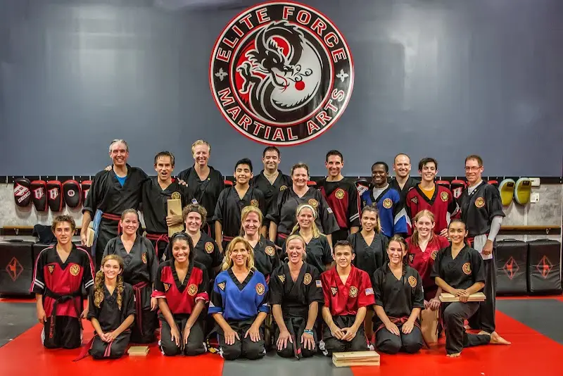 Elite Force Martial Arts BJJ Academy - photo 1