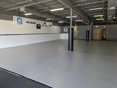Elite Jiu-Jitsu BJJ Academy - photo 3