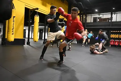 Elite Martial Arts Academy Flint Rd BJJ Academy - photo 3