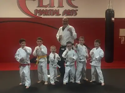 Elite Martial Arts Ju Jitsu,Karate, BJJ Academy - photo 3