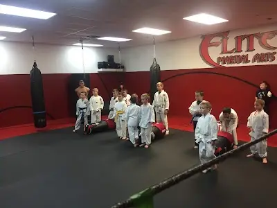 Elite Martial Arts Ju Jitsu,Karate, BJJ Academy - photo 4