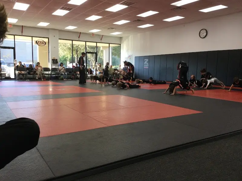 Elite Martial Arts BJJ Academy - photo 1
