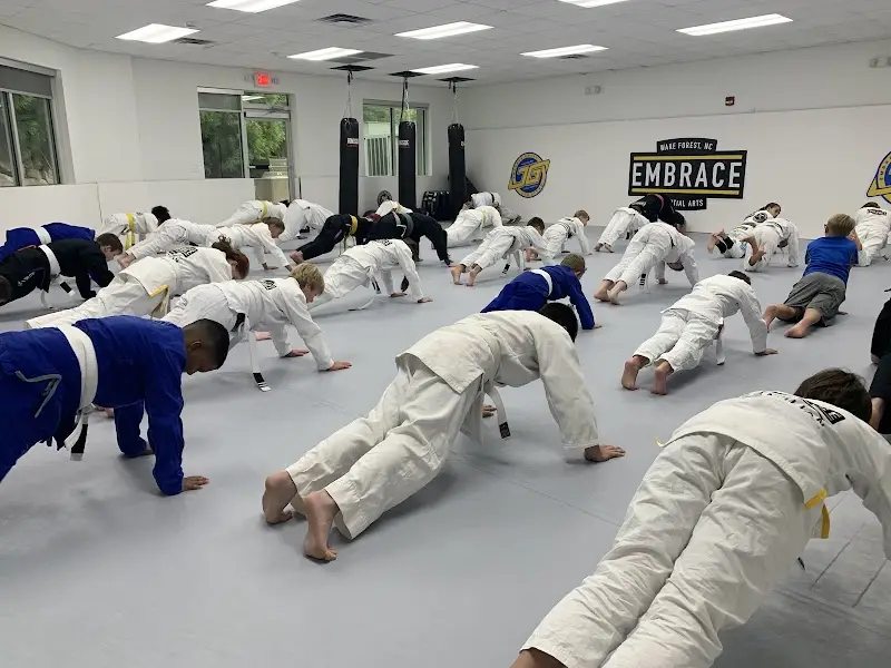 Embrace Martial Arts BJJ Academy - photo 2