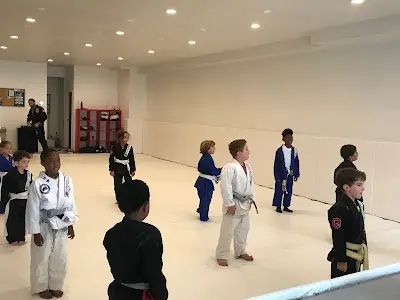Emerson Souza Brazilian Jiu Jitsu BJJ Academy - photo 2