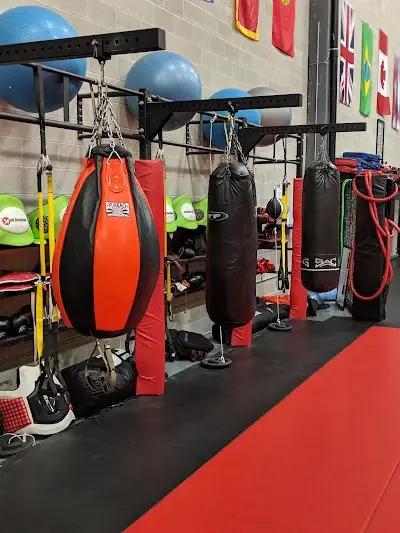 Empire Mixed Martial Arts & Fitness BJJ Academy - photo 2