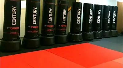 Empower Boxing Alexandria